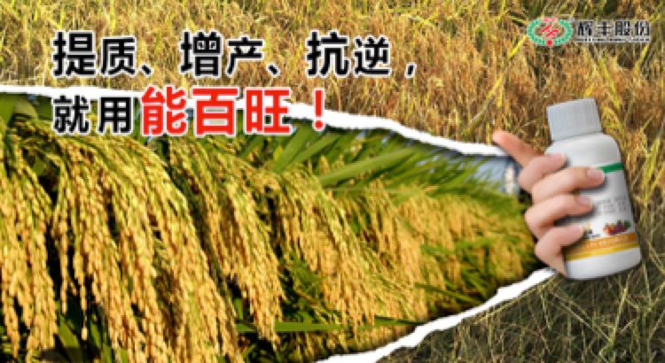 辉丰生物农业股份有限公司,辉丰生物农业上海