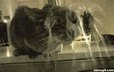 科普如何警惕面膜消费陷阱,牛奶珍珠粉海藻面膜的功效与作用