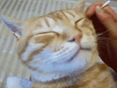 健康的五个要点,健康的几个方面