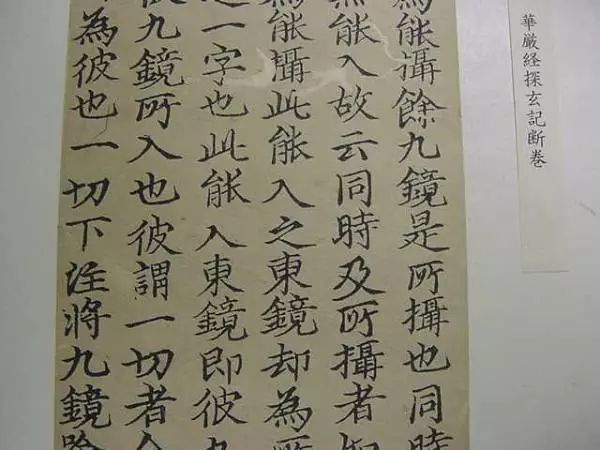 高山杉：与《通玄记》残页的偶遇和重逢