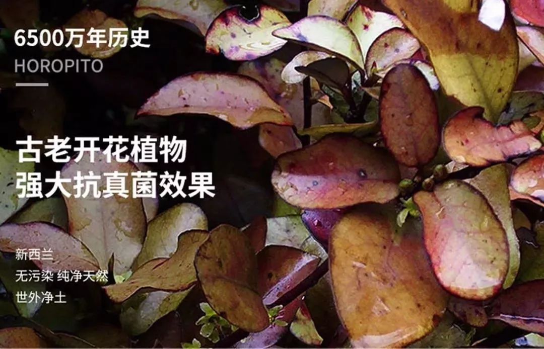 香港脚怎么彻底治愈,香港脚怎么根除