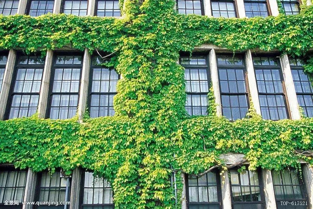 大一挂科对以后的影响有多大,大一挂科会不会影响就业