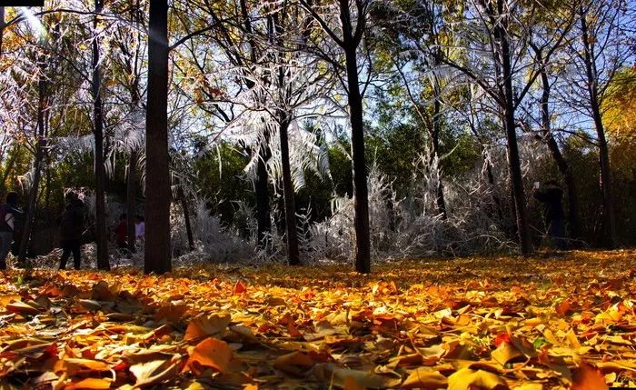 工厂改造成文化娱乐产业园,企业文化建设休闲区