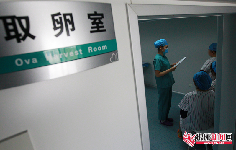 看女娲造人的视频,女娲造人视频在线观看