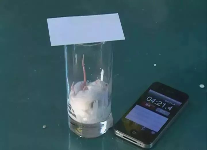 9岁孩子误吞塑料笔帽,小孩气管被圆珠笔帽卡住了