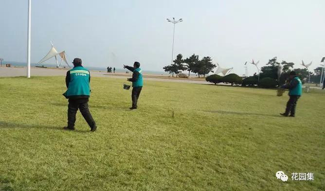 苏州人造草坪运动场养护服务,公园草坪怎么养护效果最好