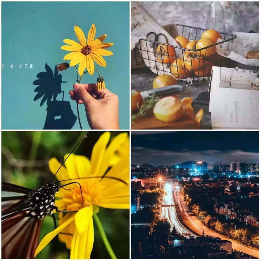 零基础摄影学习培训,全面技能提升训练营