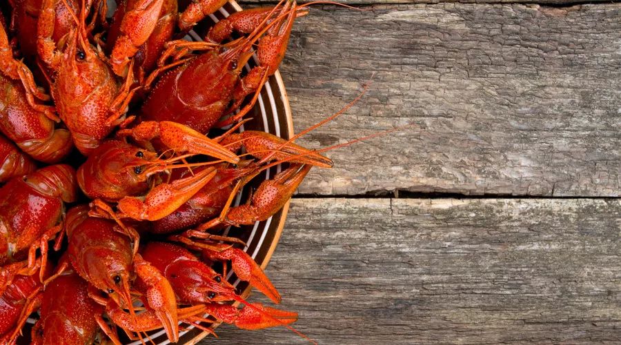 酵素能防癌症吗,长期吃酵素对癌症有效吗