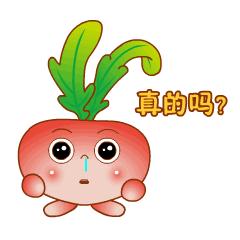 森林狂欢节的音乐,森林音乐狂欢节门票