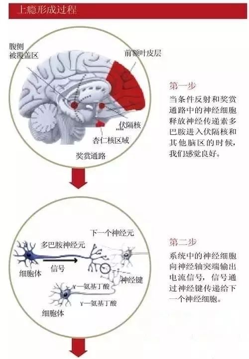 妇科疾病治疗骗局大揭秘,妇科疾病治疗骗局揭秘