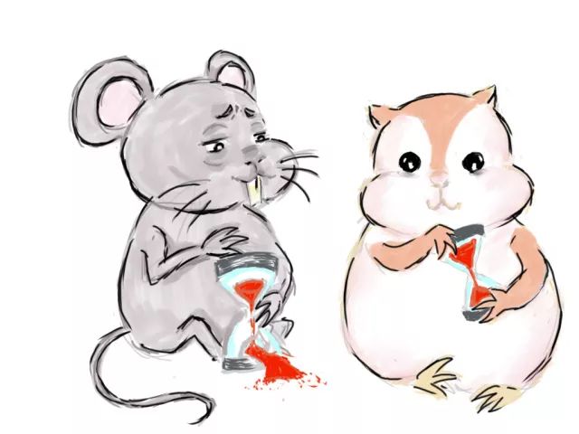 妇科疾病治疗骗局大揭秘,妇科疾病治疗骗局揭秘