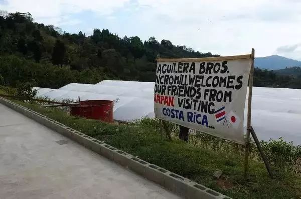 测评｜「阿奎特莱兄弟处理厂」红酒日晒卡度拉VS「天使庄园」的日晒卡杜拉