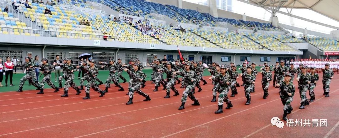宝石节晚会,粤桂宝石节