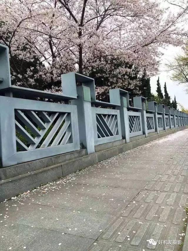 手机摄影制作教程最新热门作品,手机摄影制作与你共享