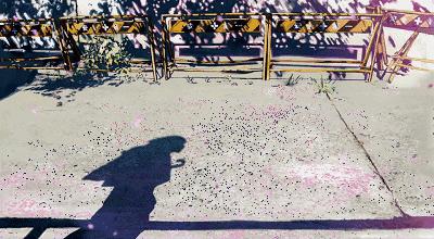 一首歌一个故事动漫,一首歌想起一部动漫