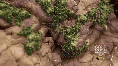 脚臭袜冰丝材质透气不闷脚,秋冬透气不臭脚棉袜