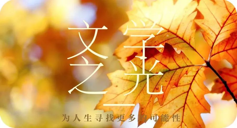 万物静美如谜｜文学之光第6期联合书单