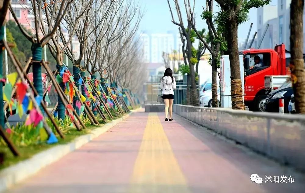 宿迁沭阳：这份“绿色福利”你值得拥有~