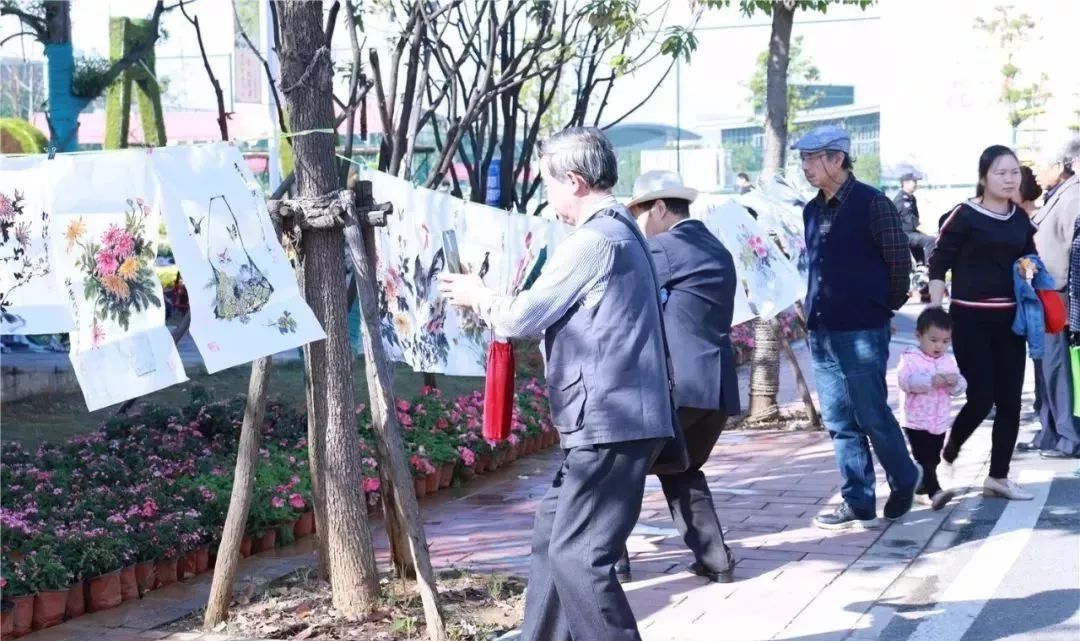 体育中心看展菊,运动公园菊展