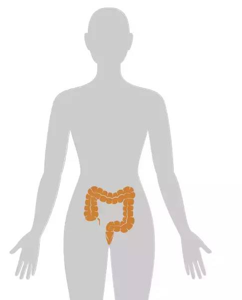 20个癌症的真实案例,13种癌症最新研究报告