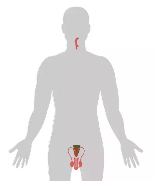18张癌症人体地图，揭秘致癌真相！