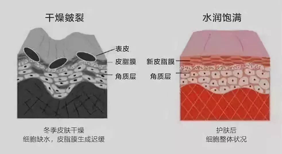 有北极熊绒毛的衣服吗,有了羽绒服不会冷了