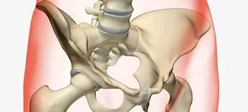 盆底肌重要还是骨盆修复重要,盆底肌和紧致度有关系吗