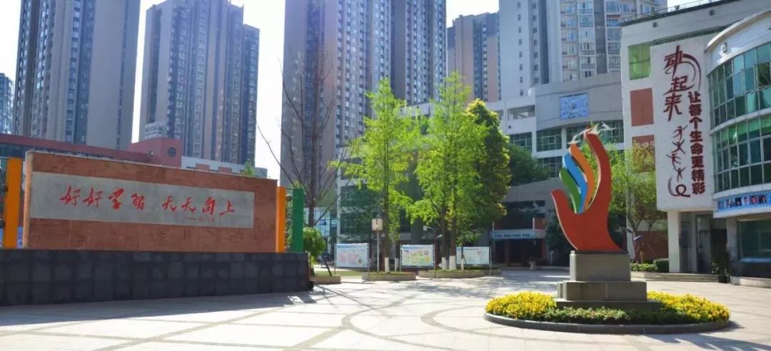 成都成华区小学排名,石室小学在成华区排名