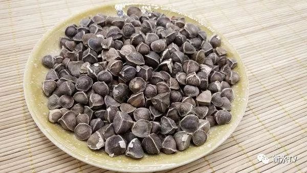 纯正文山三七粉每日一元限量体验,三七粉特价