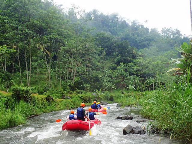 巴厘岛怎么玩才最划算,巴厘岛必玩攻略