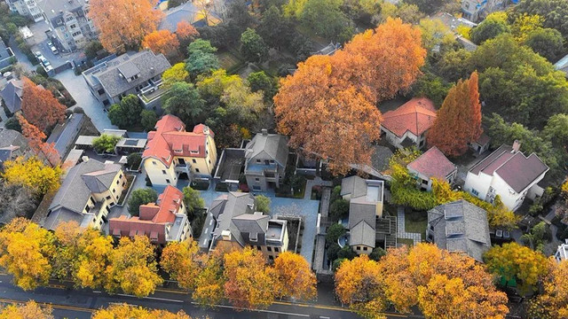 南京最美赏秋地点,南京赏秋之旅