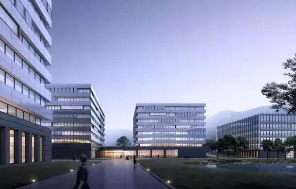 仙林崛起,仙林2020