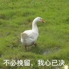 45批次化妆品抽检不合格名单,最近批次化妆品不合格