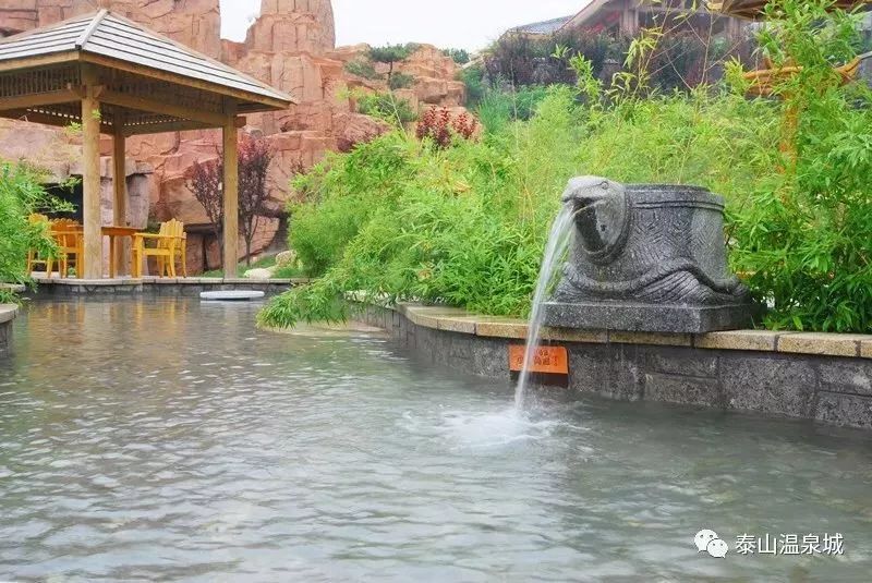 泰山温泉城团购价格,团购活动惊爆价