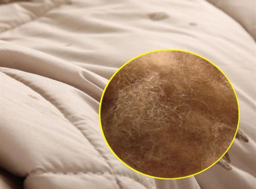 骆驼绒的纤维特性,骆驼绒属于什么纤维