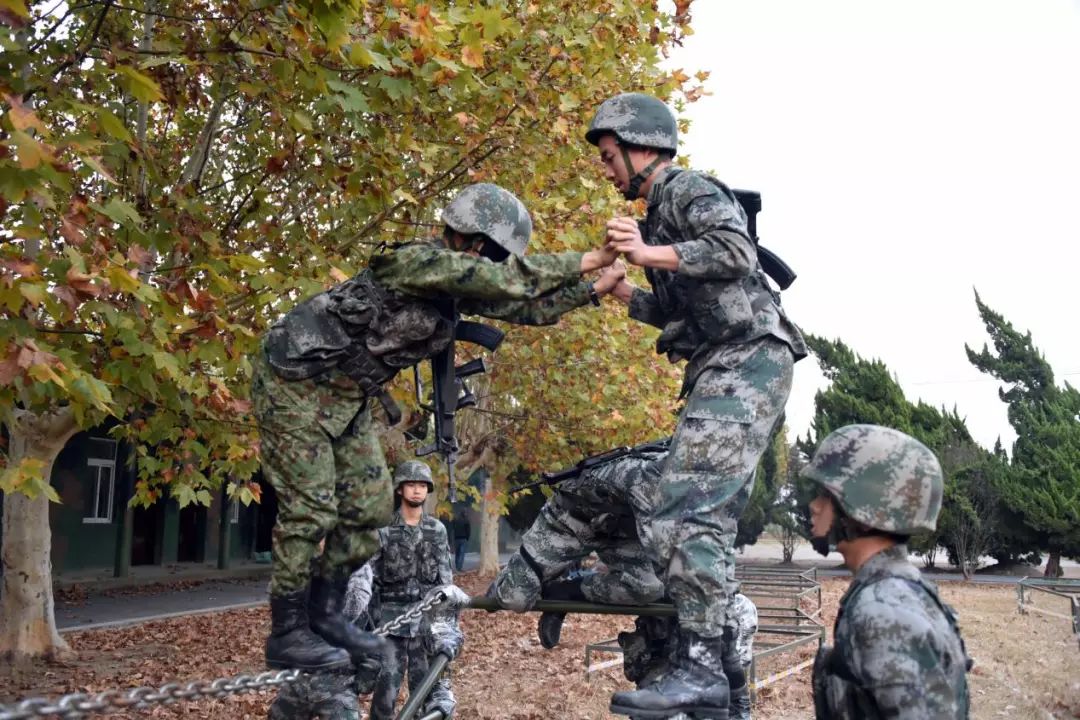 现场直击陆军,直击陆军某旅新年开训