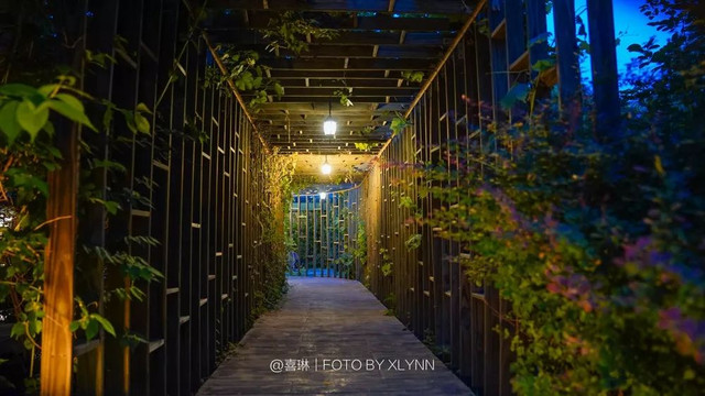 羊驼陪吃早餐，天鹅湖中畅游，藏身北京奥森旁的休憩之地：在之禾