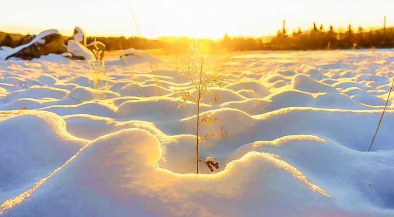 国内能看到极光的地方,中国唯一可以看到极光的地方