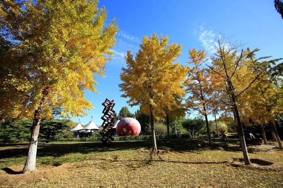 北京石景山国际雕塑公园攻略,北京市石景山区北京国际雕塑公园