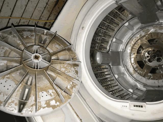 可怕洗衣机,洗衣机脏的可怕后果