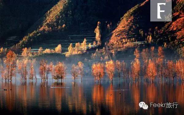 杭州特价机票购买攻略,杭州机票优惠团购