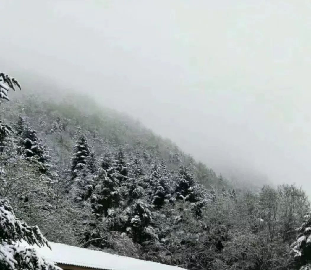 立冬天气湖北,湖北寒潮大雪