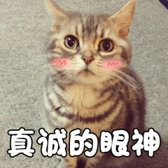 数字化工厂阿（哪）里银（找）？来咯～阿拉宁波等侬！