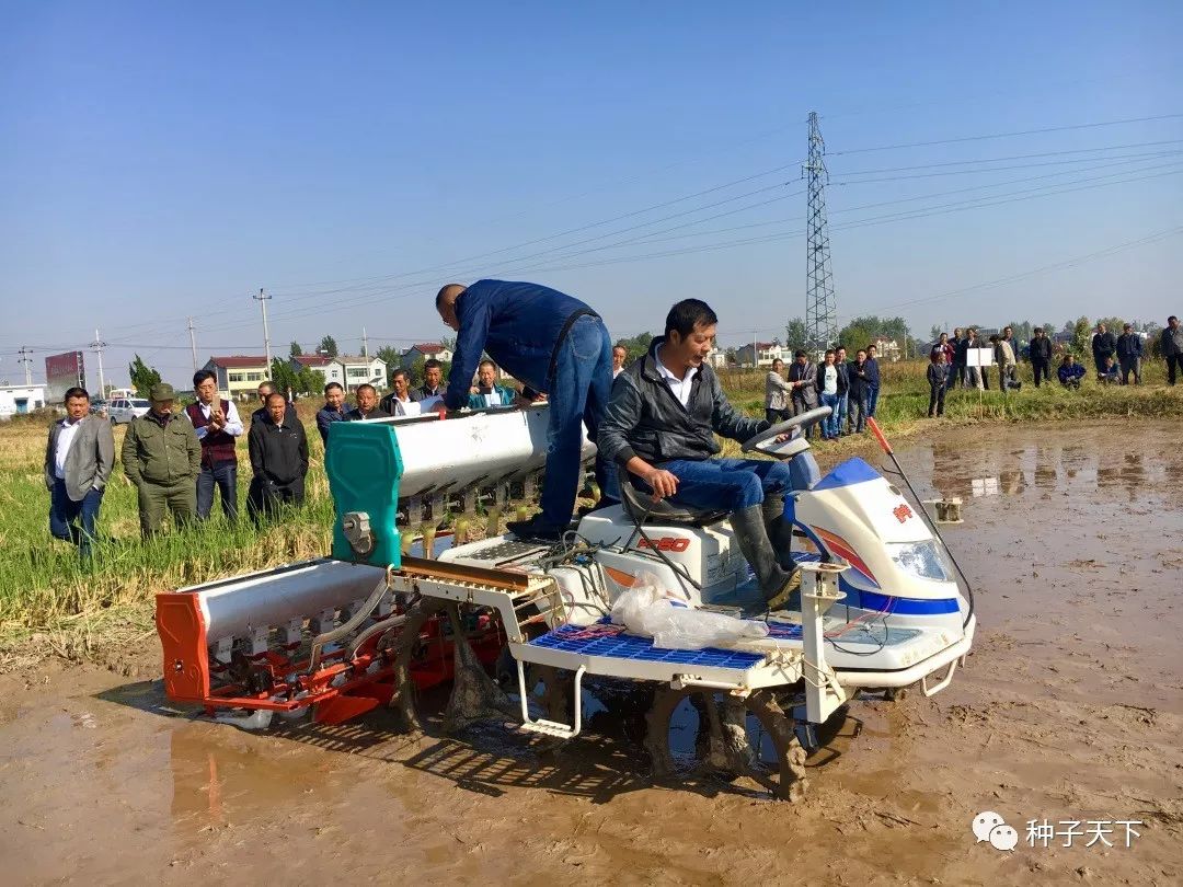 水稻种植用肥,粳稻施什么肥好