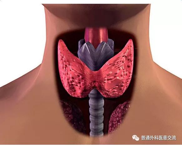 不懂的医生能从ct看出舟状头吗,看不明白甲状腺报告单