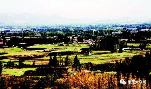 “三块地”就让这个村一夜暴富？