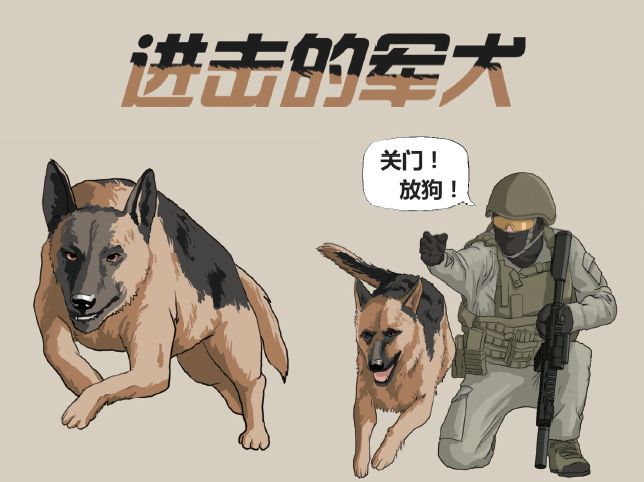 人类最忠实的伙伴——进击的军犬