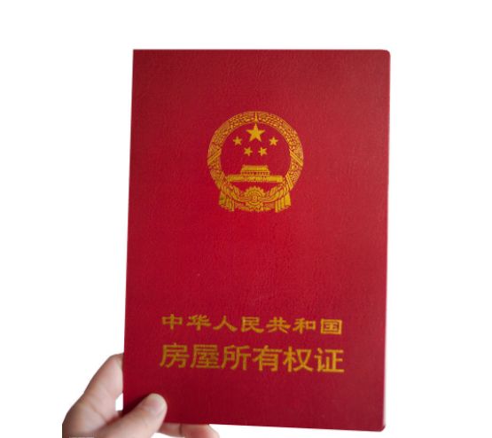 驾驶证和身份证同时丢失该怎么办,驾驶证行驶证身份证丢失如何补办