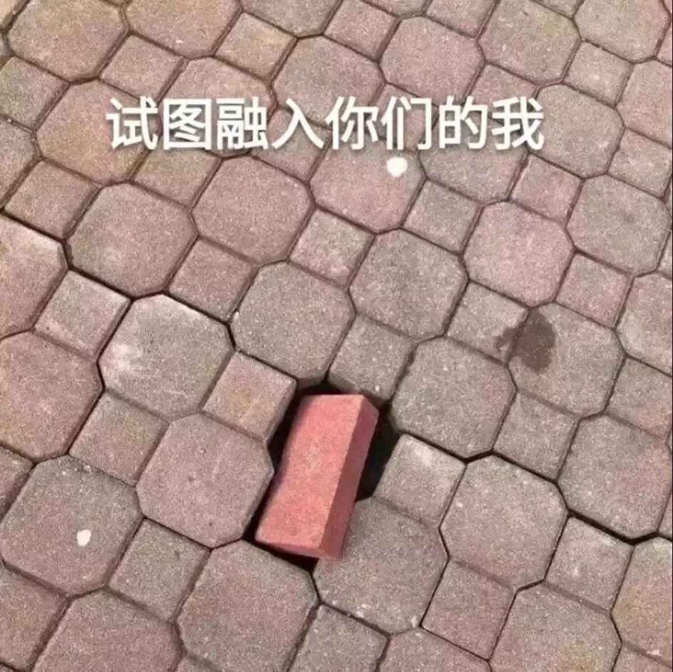 00后们的黑话宝典,00后必懂黑话