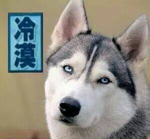 刷单骗局套路大揭秘,刷单骗局套路分几步